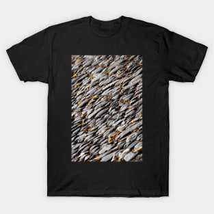 Autumn Street T-Shirt